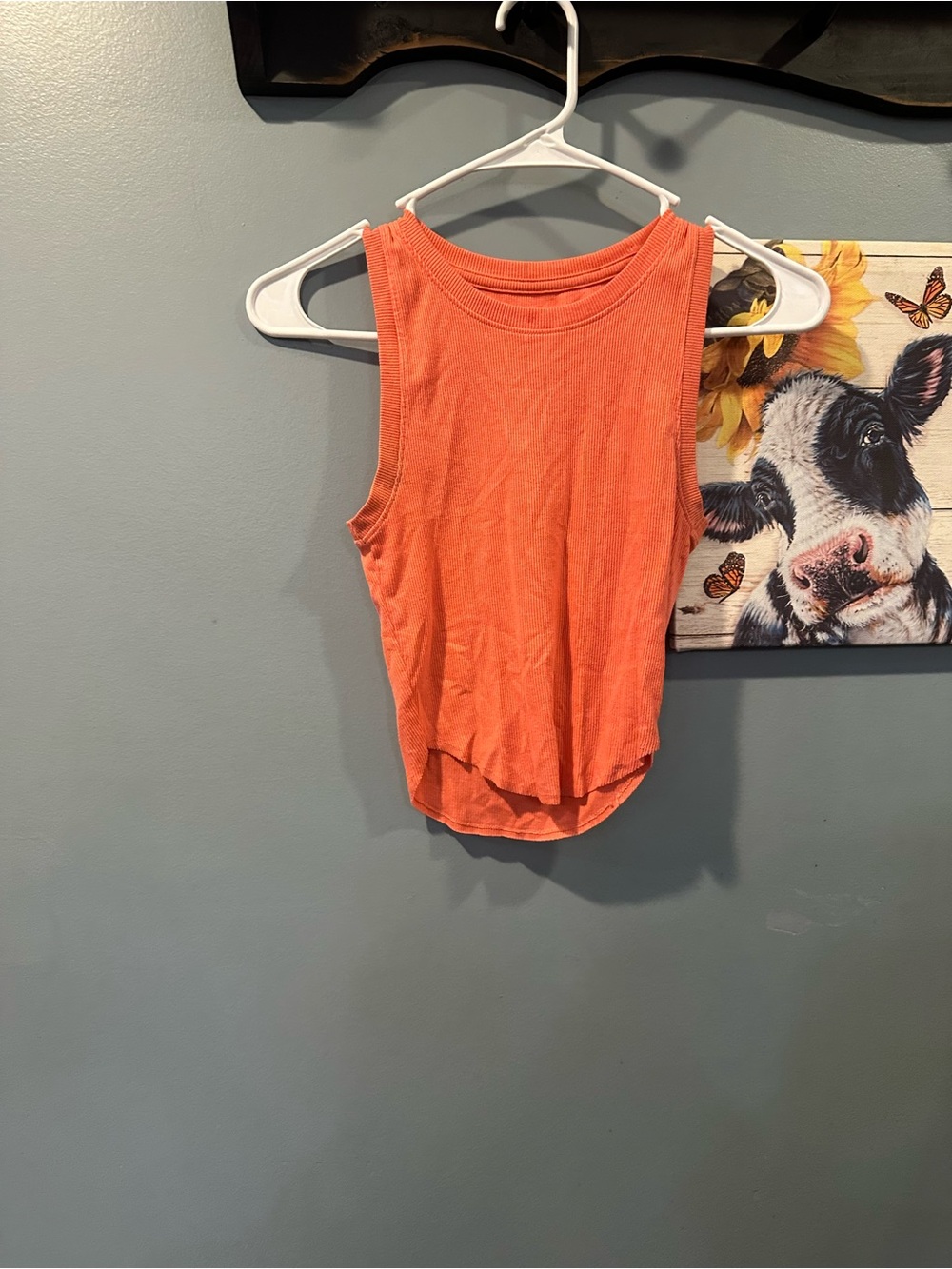 American Eagle Outfitters Coral Ribbed Tank